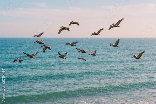 Flock of pelicans fly over blue ocean waves under a pale sky. Birds move in formation above water near coast. Natural wildlife scene shows migrating seabirds in flight.