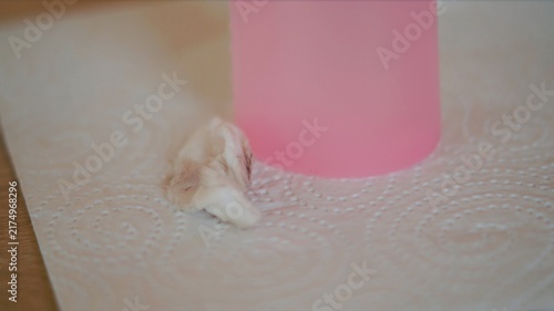 Pink cosmetic bottle stands next to a small piece of cotton on a textured white surface. The image represents preparation, cleansing, hygiene, and routine personal care.