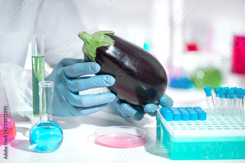 Foto Fresh eggplant examined by gloved hands in food biotechnology laboratory, qualit