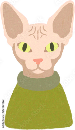 Sphynx hairless cat portrait with yellow-green eyes wearing an olive green sweater colored pencil style illustration