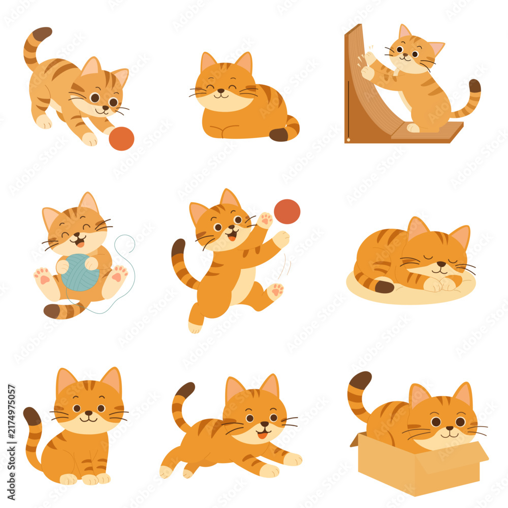 Obraz premium Cute Cat Character Vector Illustration Design Element