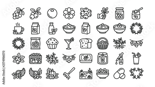 Black line icons set of various blueberry food and drink items
