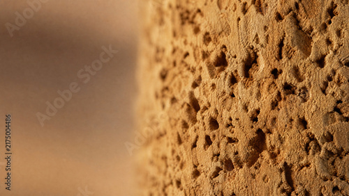 Wine cork natural porous texture showing cellular structure in warm macro sidelight
