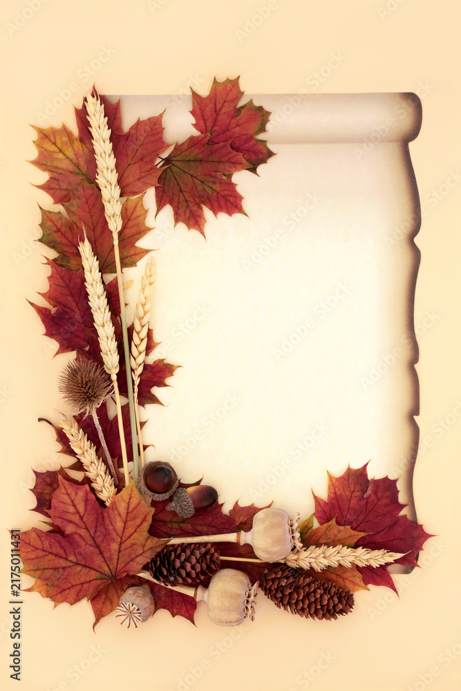 Obraz premium Vivid Autumn fall leaves, wheat and flora on paper scroll on cream background. Old fashioned seasonal retro design for Harvest and Samhain festival. 