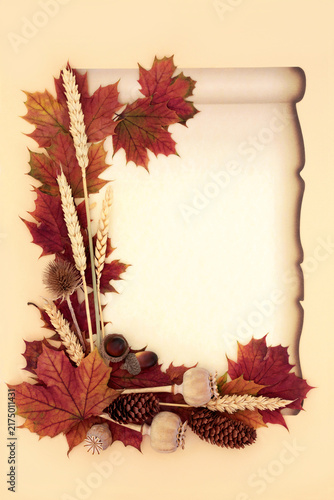 Obraz na płótnie Vivid Autumn fall leaves, wheat and flora on paper scroll on cream background