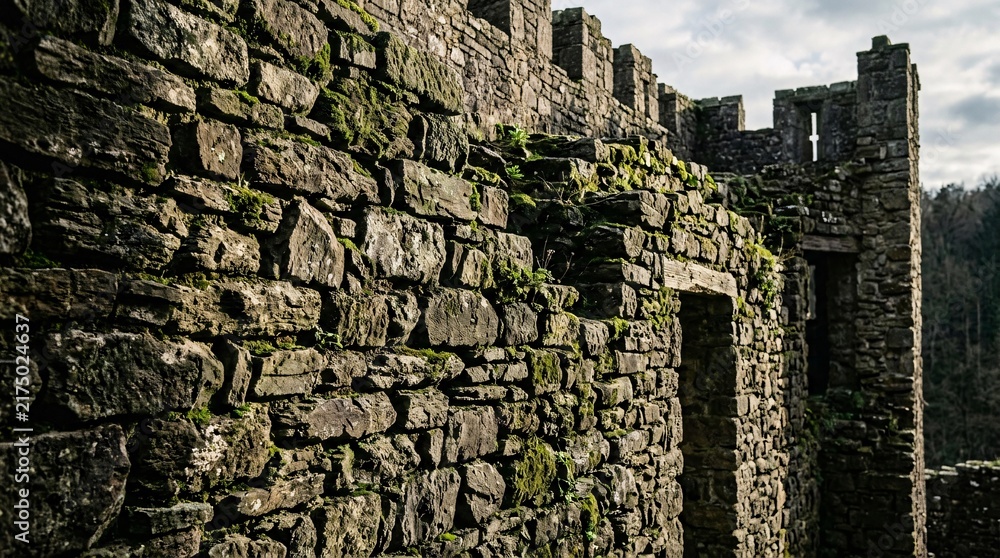 Obraz premium Ancient mossy castle stone wall, stacked irregular rocks with cinematic side lighting casting deep shadows on worn masonry, medieval feel.