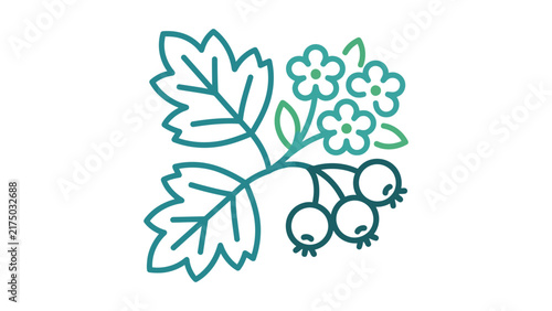 Hawthorn Branch Vector Illustration