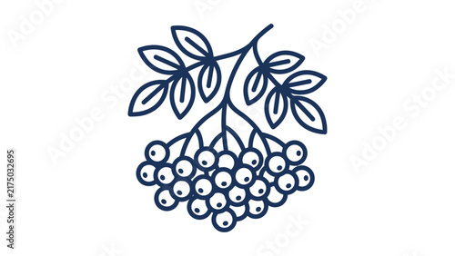 Rowan Berry Cluster Minimalist Vector