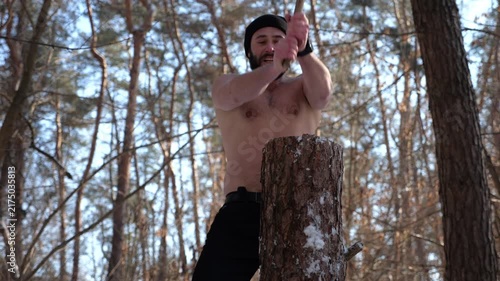 Muscular bearded guy chopping firewood in sunny winter forest. Shirtless young man working with axe in snowy woodland. Concept of strength, masculine, energy and harmony with nature during cold season