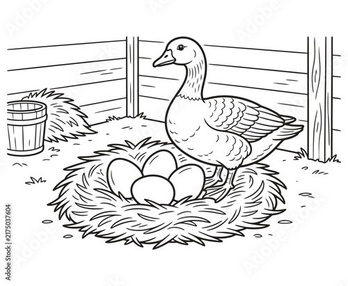 Fotografie Mother goose standing over nest with large eggs in barn corner coloring page illustration