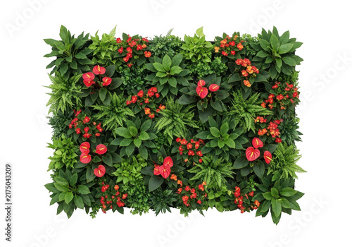 A vibrant vertical garden wall featuring lush green foliage and bright red flowers isolated against a solid black background for modern interior design