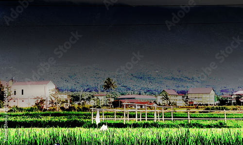 Paddy field landscape in rural village with dark stormy sky and distant mountain scenery