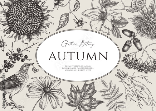 Dark botany, black-and-white background. Autumn heritage floral frame design in vintage botanical style. NOT AI generated