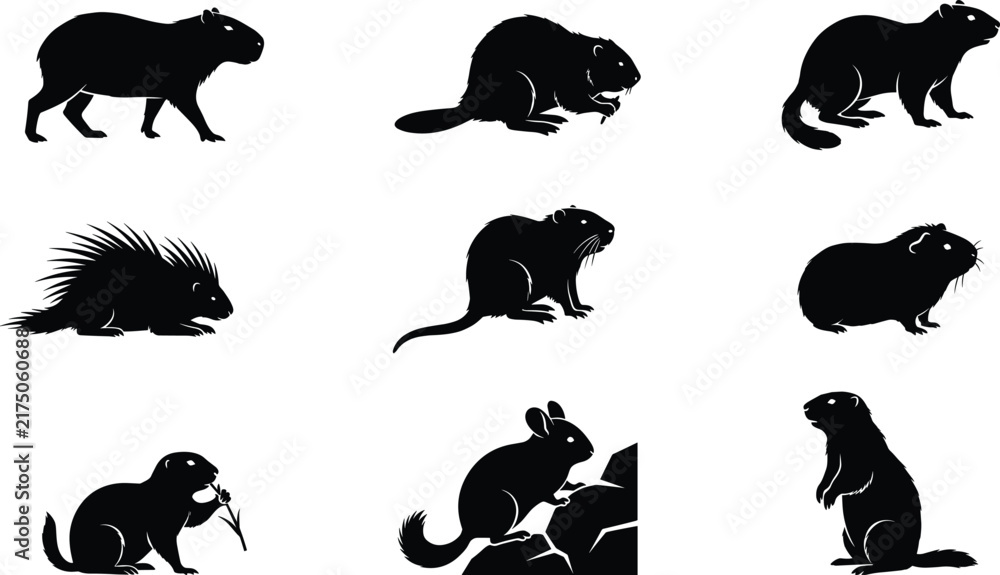 Obraz premium Wild Rodent Animal Silhouette Icon Collection with Capybara Beaver and Porcupine Symbols for Nature Graphic Design Projects
