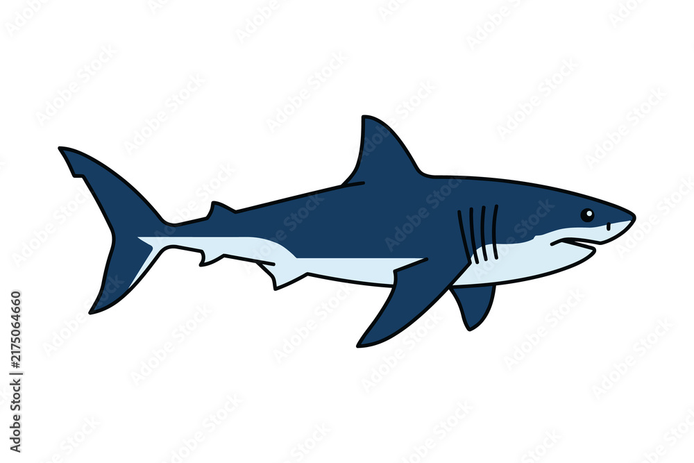 Fototapeta premium Great White Shark Flat Vector Illustration