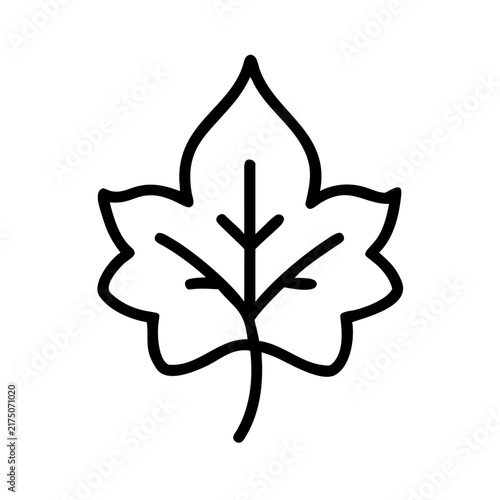 Stylized maple leaf outline, symbol of autumn and nature.