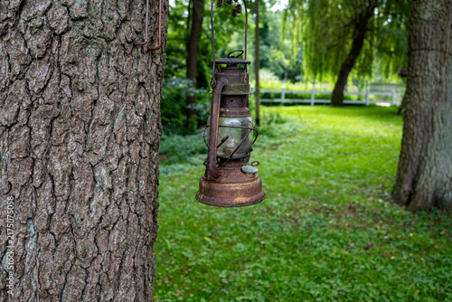 Bild auf Leinwand Rustic rusty vintage kerosene hurricane lantern hanging on tree trunk in green g