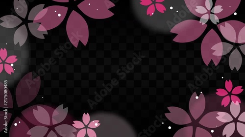 Ichimatsu background with rotating sakura frame, seamless loop animation.