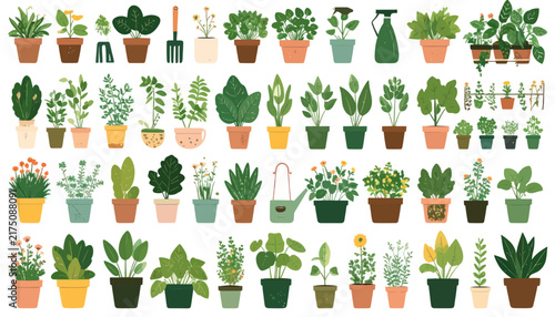 Diverse collection of indoor house plants in various pots.
