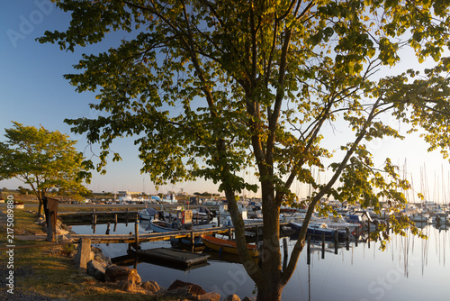 Serene Mommark Marina on Als island in Denmark with sailboats moored in golden morning light.