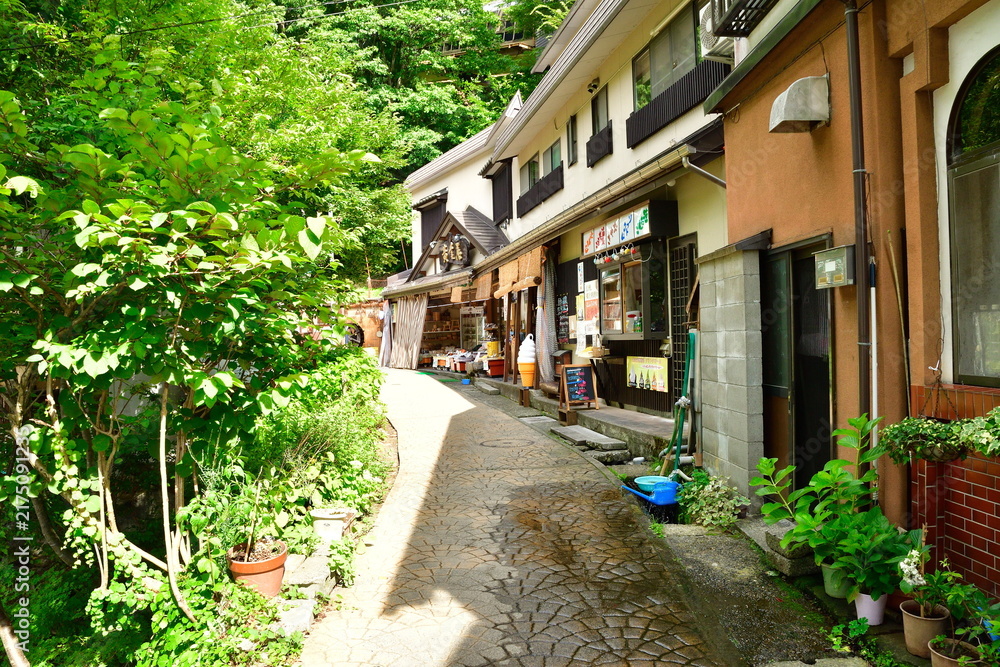 Fototapeta premium 野沢温泉の温泉街に並ぶ建物と通り（長野県野沢温泉村）