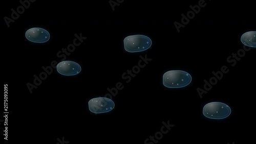 Liquid Metric Lenses Animation on Transparent Background