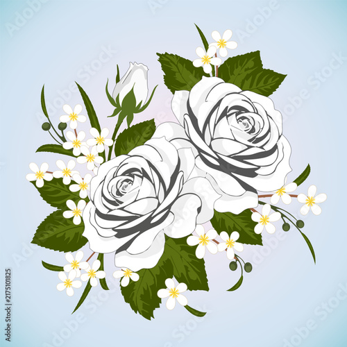 A bouquet of flowers with white roses.Vector illustration with a bouquet of white roses on a light background.
