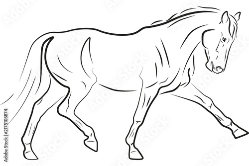 фотографія Hand drawn sketch of a walking horse isolated on white background