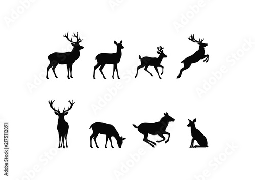 Deer Poses Silhouettes of male deer with antlers in illustration Stock vector 