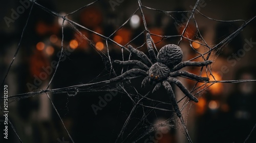 Creepy spider on web, Halloween night