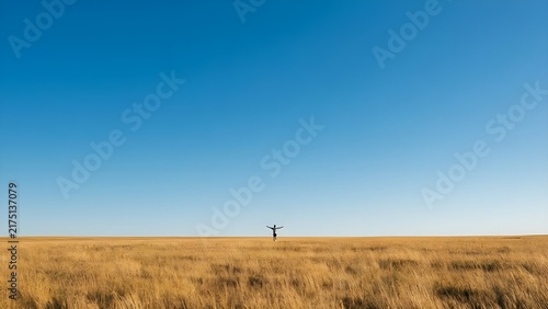 황금빛 들판과 푸른 하늘이 만나는 지평선 속에서 두 팔 벌린 인물의 풍경
Scenery of a figure with arms wide open on the horizon where a golden field and blue sky meet