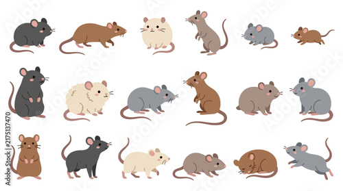 Cuadro en lienzo A collection of cute cartoon mice and rats in various poses and colors isolated on white background
