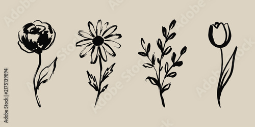 Hand drawn ink brush floral sketch collection with daisy rose tulip and botanical branch illustrations for logo designs