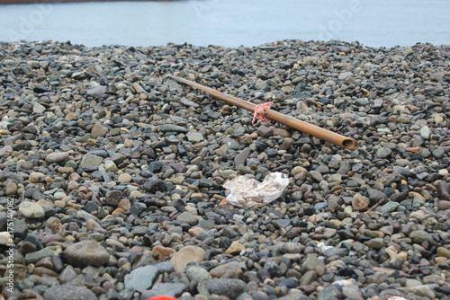 Obraz na plátne Wide angle view of washed-up bamboo pole and natural sponge on a stony seashore with ocean horizon background
