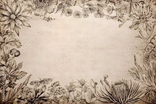 Elegant Vintage Botanical Engraved Border on Blank Background