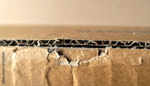 Corrugated Cardboard Texture Close-up: A detailed macro shot revealing the intricate, layered texture of corrugated cardboard, highlighting its robust structure and fibrous surface.