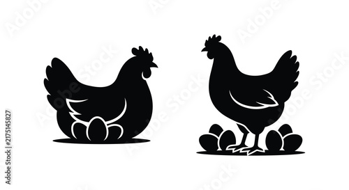 Картината върху платно Black chicken silhouettes with eggs against a white background poultry