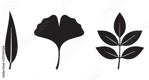 Minimal Botanical Leaf Silhouette Collection – Black Plant Vector Set