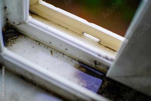 Foto Dirty window frame with clogged weep hole and standing water causing mold