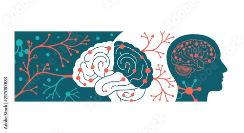 Abstract Human Brain and Neural Network Illustration for Neuroscience and AI