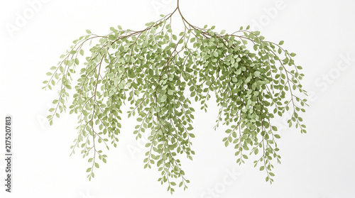 Ultra-realistic delicate hanging branch with many tiny pale-green leaves cascading downward from thin flexible stems, graceful natural drooping silhouette