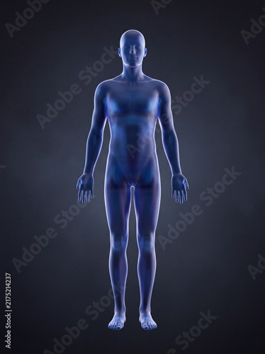 Full-Body Gender-Neutral Human Anatomical Mannequin