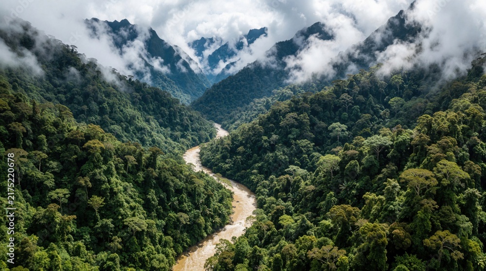 Obraz premium Muddy river carves through dense jungle valley in misty mountains. Overcast sky hangs above lush green rainforest canopy. Aerial perspective reveals untouched wild nature and remote topography.