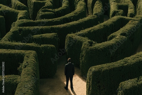 A lone figure stands at the entrance of a dense, shadowy hedge maze