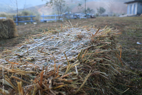 Konstfotografi Frosty Hay Bale on a Misty Morning in Rural Landscape