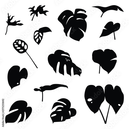 Vector collection set of ornamental leaf silhouettes.	
