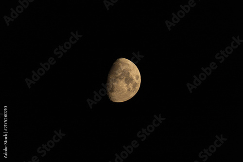Canvastavla Waxing gibbous moon showing detailed lunar craters against black sky