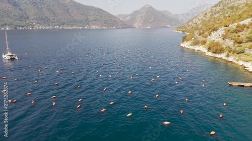 Aerial view of an oyster farm in the Bay of Kotor, Montenegro, with floating buoys, boats and the picturesque Adriatic Mountains.