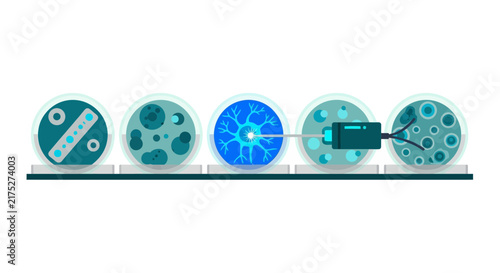 Scientific vector illustration of petri dishes featuring bacteria, neurons, and cellular cultures for medical research and biotechnology.