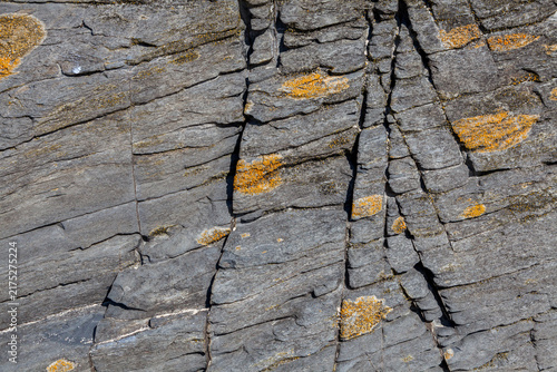Cracked grey rock is patched with orange lichen, its fractured surface forming a natural abstract pattern of ridges and fissures, Padstow, UK